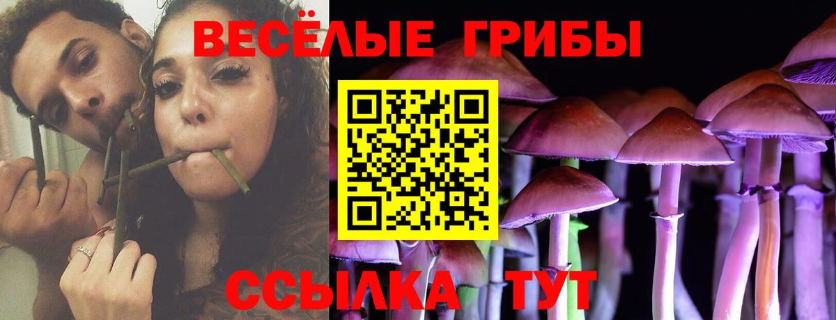 Галлюциногенные грибы MAGIC MUSHROOMS  Вход с VPN  как найти закладки  Кизилюрт 
